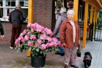 ein Bild aus dem Album